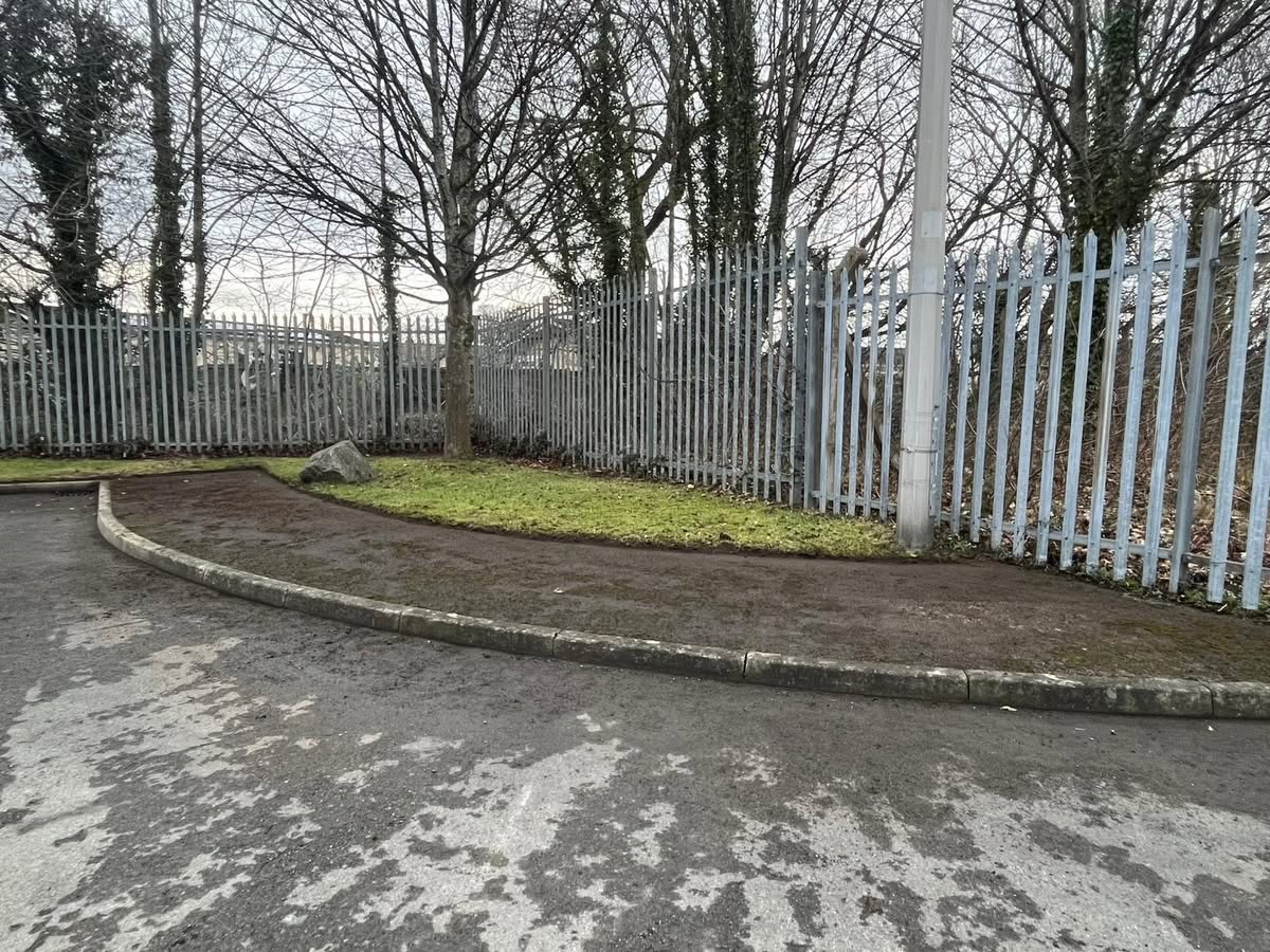 Same verge after moss removal and soil refresh by DMS